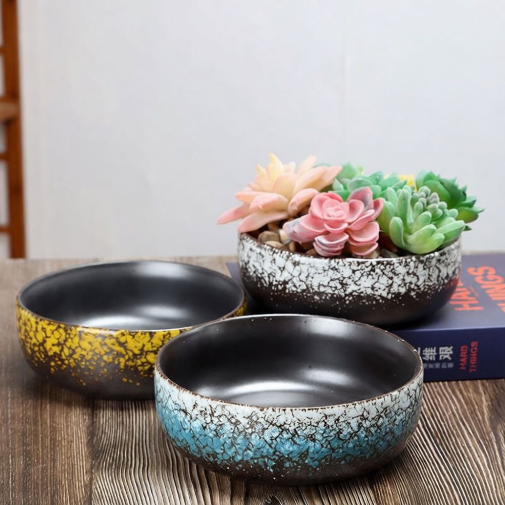 큰 입구가 있는 도자기 다육 식물 화분, 수공예로 제작 - Bonsai Garden Art 리뷰 및 가격