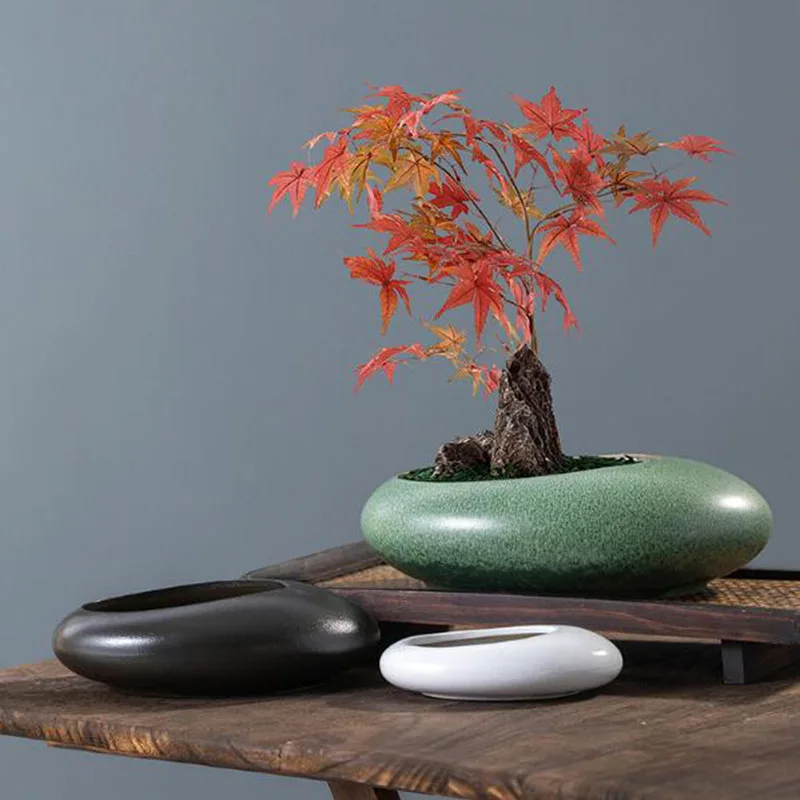 거친 질감의 도자기 분재 화분, 녹색 식물 화분, 수경 - Bonsai Garden Art 리뷰 및 가격
